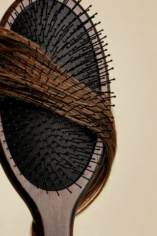 Hairbrush Set